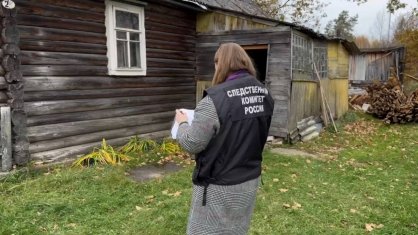 В Псковском районе женщина подозревается в убийстве знакомого